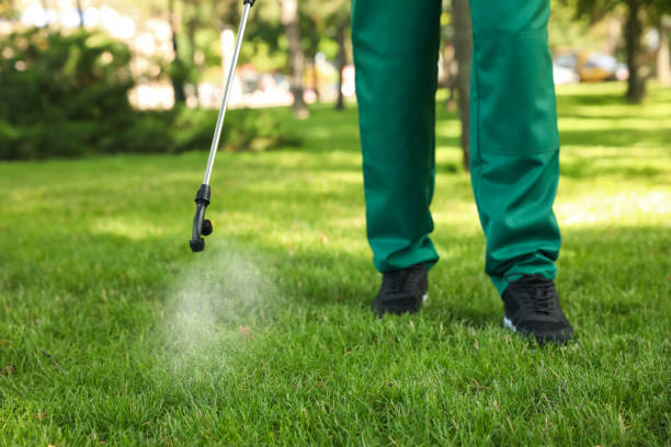 Best Wasp Removal Services  in Ashland, PA