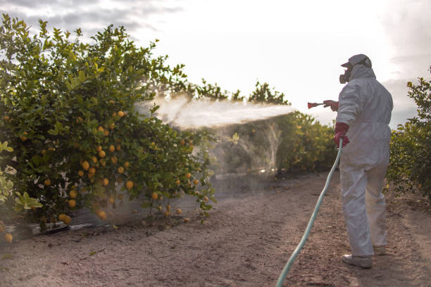 Best Best Pest Control Companies  in Ashland, PA