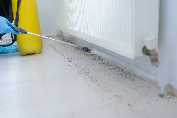 Best Exterminator Services  in Ashland, PA