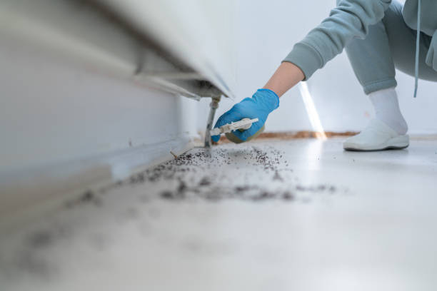 Best Cockroach Control Services  in Ashland, PA